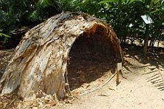 0508 Cairns Botanic Gardens